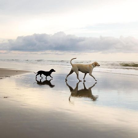 Echo Beach Filey Dış mekan fotoğraf